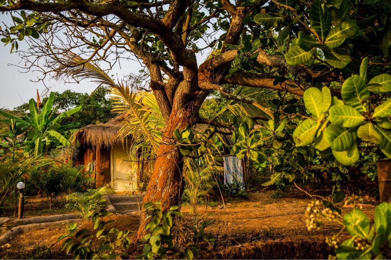 Banyan Tree Yoga Hotell Mandrem Exteriör bild